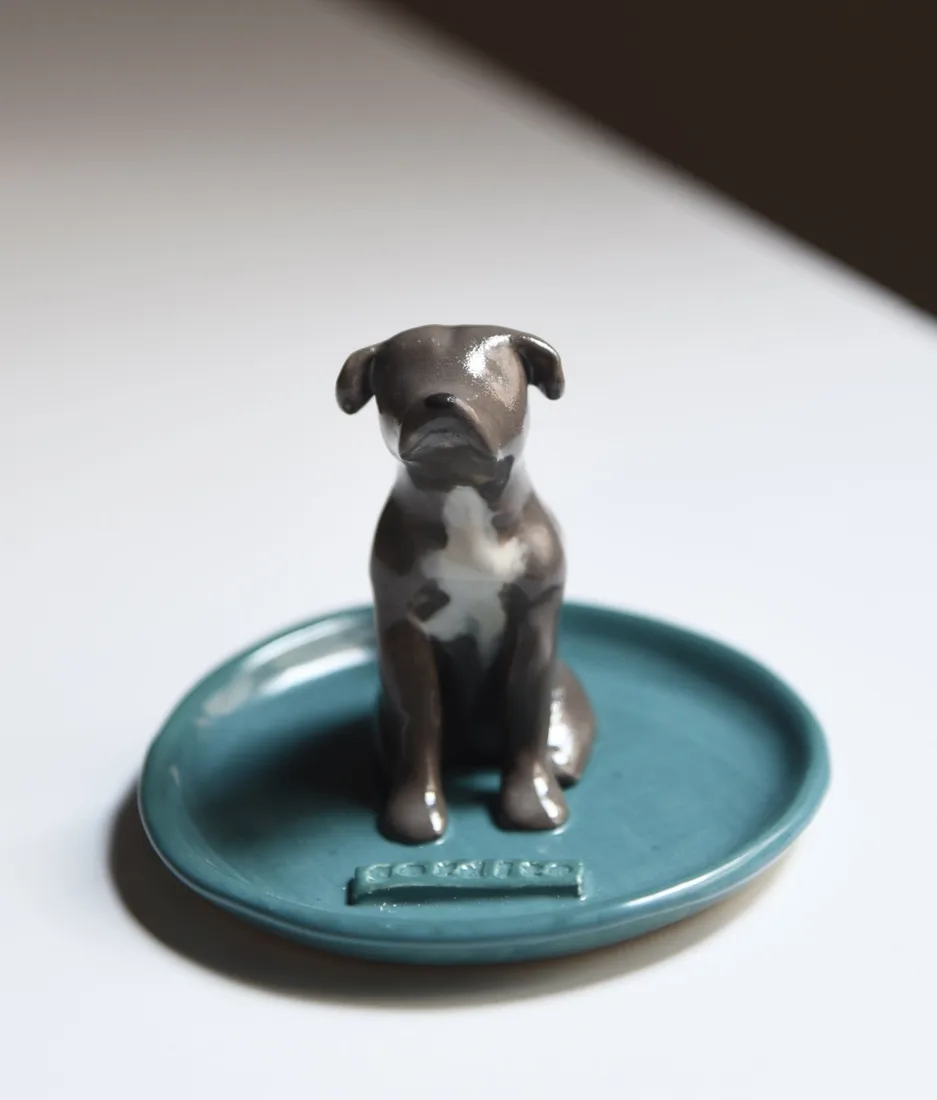 Plato joyero de una mascota, pintado a mano