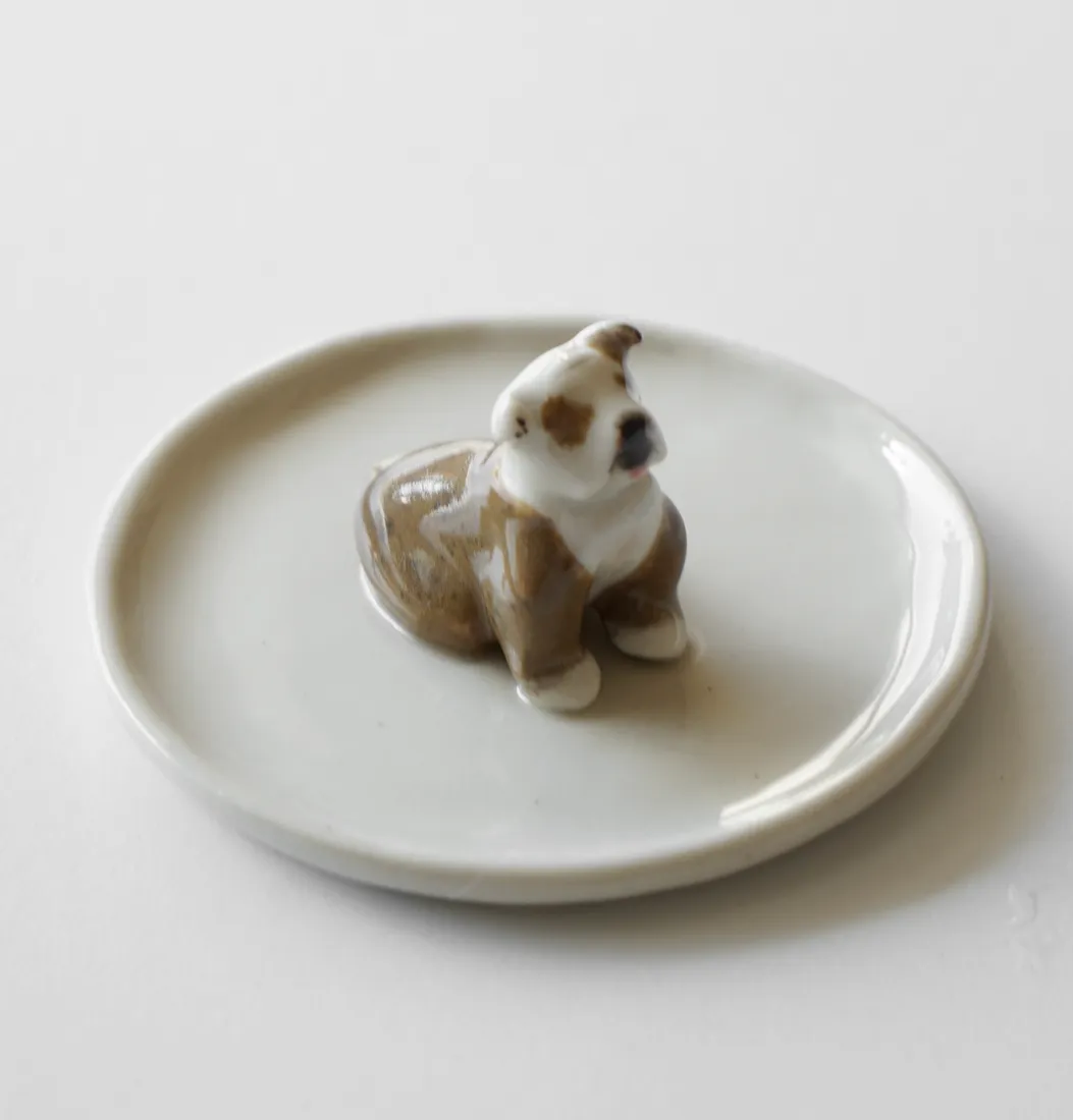 Plato joyero de una mascota, pintado a mano
